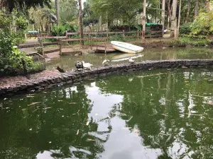 Fun Farm at Sta. Elena