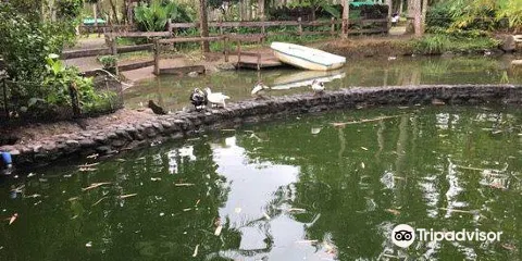 Fun Farm at Sta. Elena