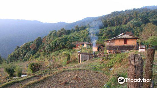 Adam Tribe Organic Farm