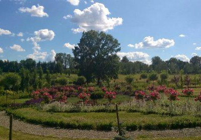 Silesian Botanical Garden