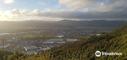 Wainui Lookout