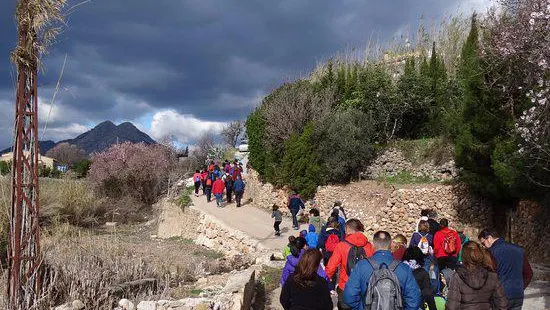 Feslali, Alcalali en flor