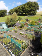 Beeches Cottage Nursery