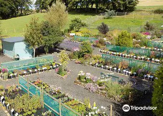 Beeches Cottage Nursery