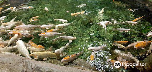 Sochi Discovery World Aquarium