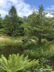 Cape Poge Wildlife Refuge