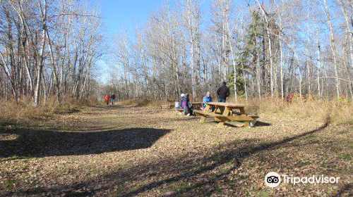 Clifford E. Lee Nature Sanctuary