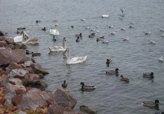 Hotels near Tagore Promenade