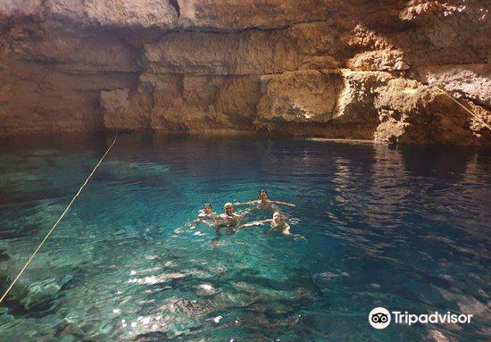 CobaTour giornalieri