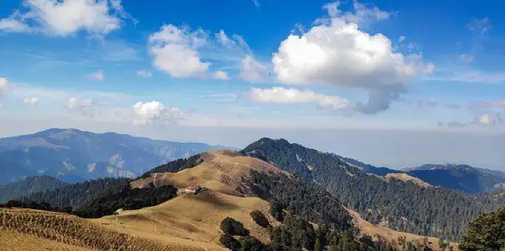 Hotels in Mandi District