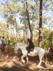 Nelly's Ranch Equitation