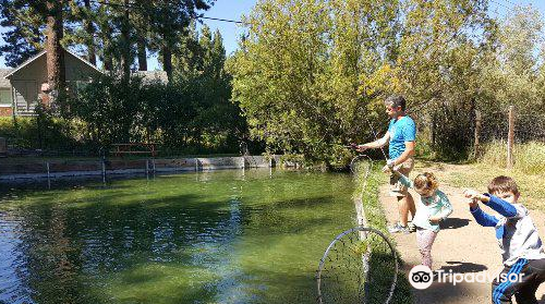 Tahoe Trout Farm