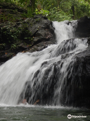 Concepcion Falls