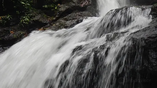 Concepcion Falls