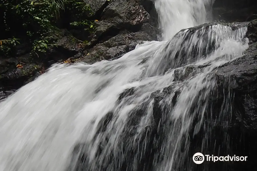 Concepcion Falls