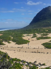 Kaʻena Point State Park