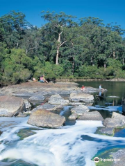 Walpole-Nornalup National Park