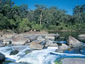 Walpole-Nornalup National Park