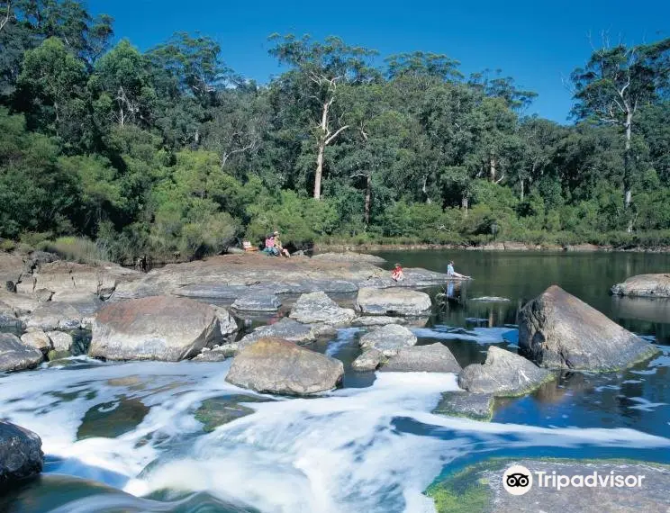 Walpole-Nornalup National Park