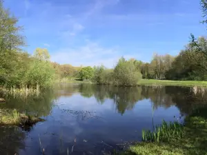 Arboretum Poortbulten