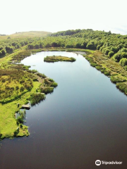 Balmule Fishery