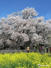 ISSHINGYOU KOUEN Park