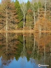 Ferne Clyffe State Park