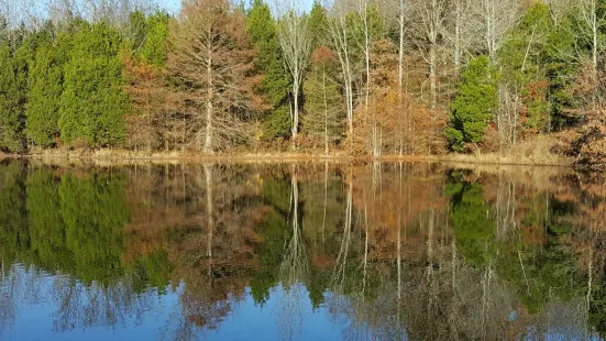 Ferne Clyffe State Park