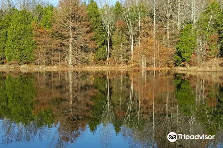 Ferne Clyffe State Park