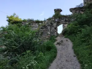 Хустский замок
