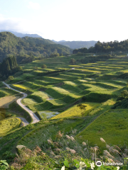 Shikamura Rice Terraces