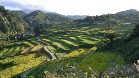 Shikamura Rice Terraces
