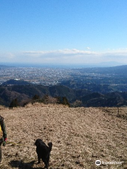 大野山