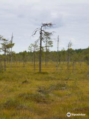 Pyhä-Häkki-Nationalpark