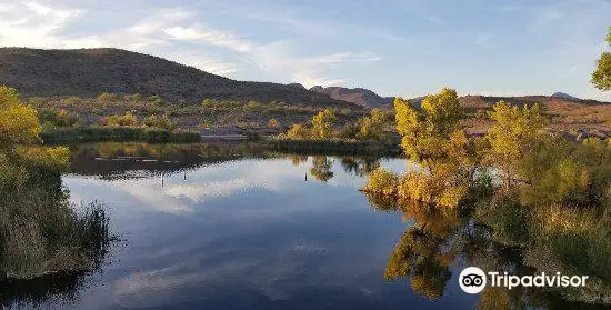 Patagonia Lake State Park