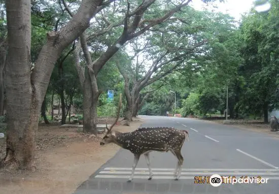 Indian Institute Of Technology, Madras