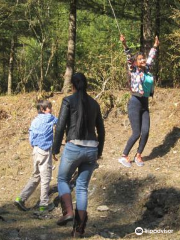 Vinog Mountain Quail Sanctuary