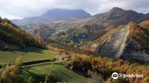 Montefeltro Vedute Rinascimentali