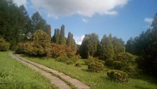 Ufa Botanical Garden