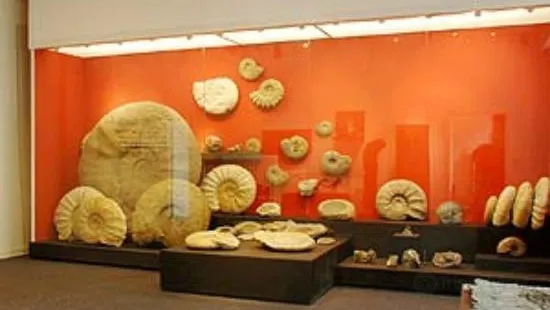 Mineralien Museum