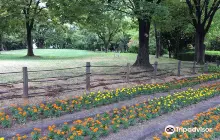 Kamisakabe West Park (Amagasaki City Botanical Garden)