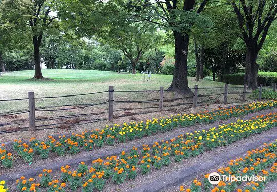 Kamisakabenishi Park