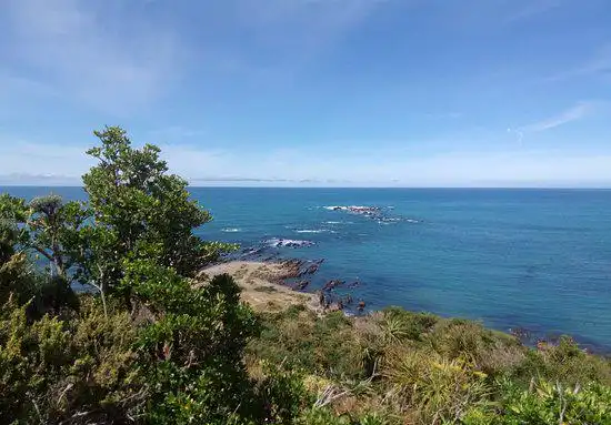 Rongotai