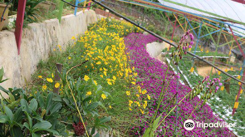 Highlands Apiary Farm