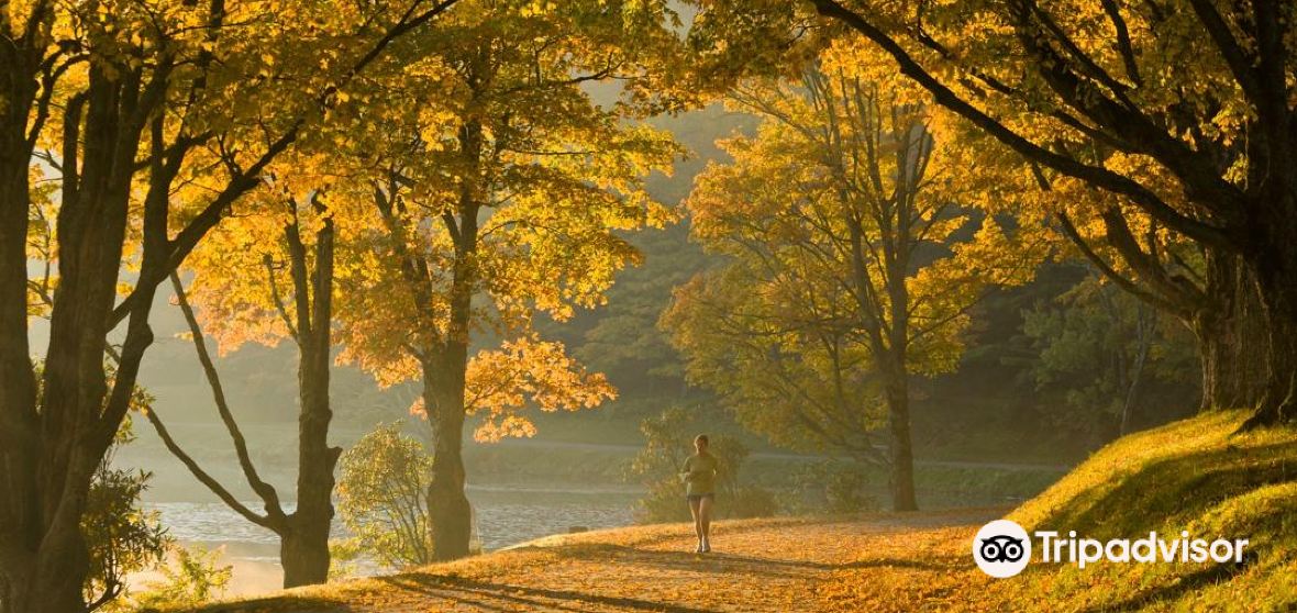 Watauga County Travel Guide 2024 Things to Do, What To Eat & Tips