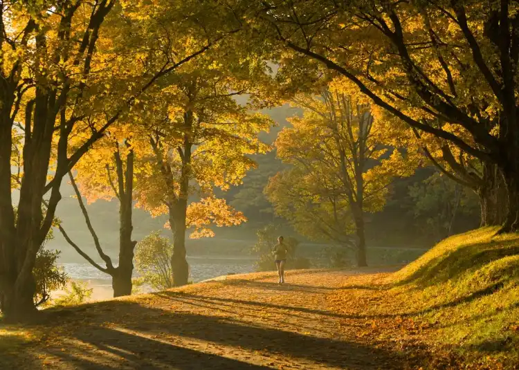 Hotels in Blowing Rock