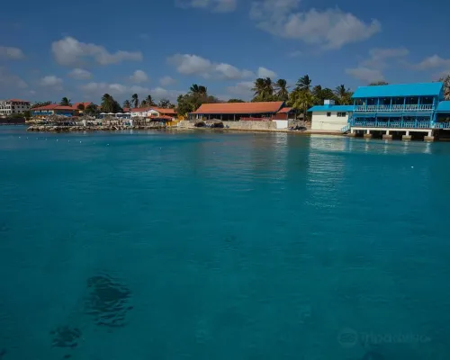 Divi Flamingo Beach Resort Hotels in Kralendijk