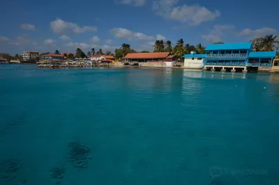 Divi Flamingo Beach Resort Hotels near Klein Bonaire