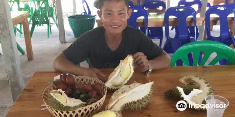 Suan Saengdad