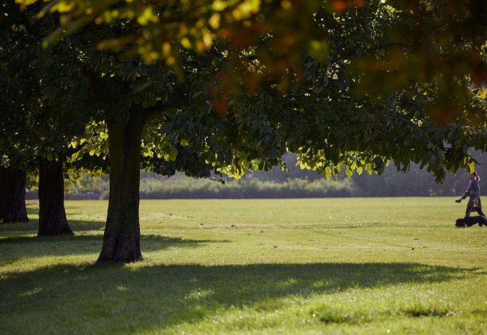 만다린 오리엔탈 하이드 파크, 런던